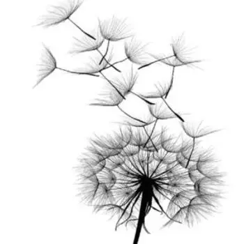 постер Лёгкость, размер: 30х40см