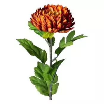 Растение искусственное Lefard Flowers Астра, 58 см, красное дерево