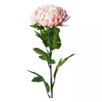 Растение искусственное Lefard Flowers Астра, 58 см, пудровый