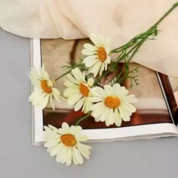 растение искусственное POETRY IN FLOWERS Арктотис, размер: 5х5х35см, жёлтый