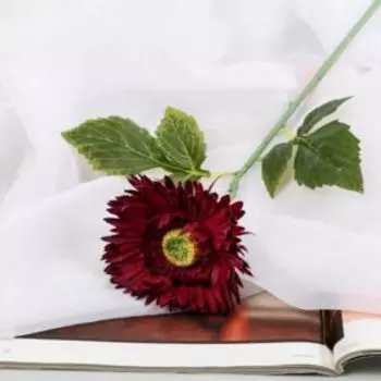 растение искусственное POETRY IN FLOWERS Астра махровая, размер: 5х50х5см, бордовый