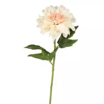 Растение искусственное Poetry in Flowers Георгин Пигми, 11х60 см, кремовый