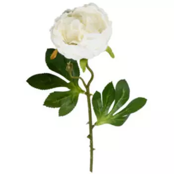 Растение искусственное Poetry in Flowers Пышный пион, 9х50х9 см, белый