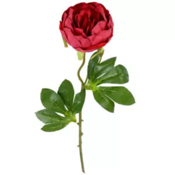 Растение искусственное Poetry in Flowers Пышный пион, 9х50х9 см, бордовый