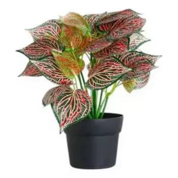 Растение искусственное в горшке Бонсай Каладиум комнатный, 10х23 см