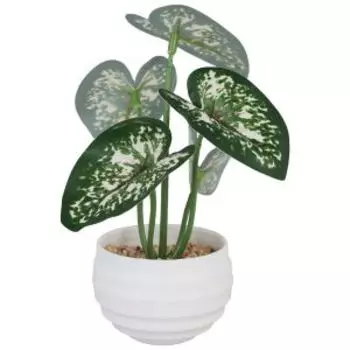 Растение искусственное в горшке Диффенбахия элегант галант, 6х13 см