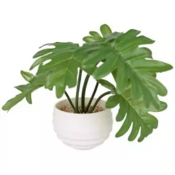 Растение искусственное в горшке Филодендрон элегант, 6х16 см