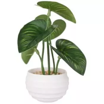Растение искусственное в горшке Филодендрон элит элегант, 6х13 см