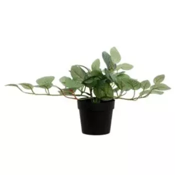 Растение искусственное в горшке Фиттония, 18х17 см