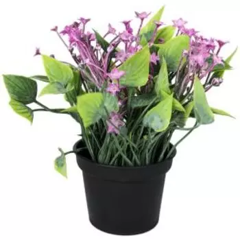 Растение искусственное в горшке Кислица люкс, 7х14 см