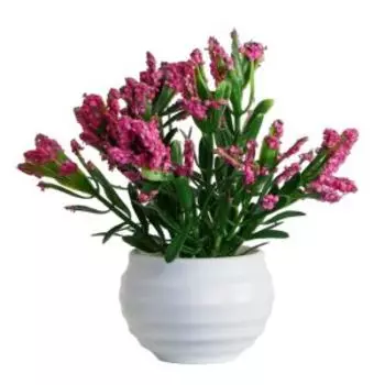 Растение искусственное в горшке Крассула, 5.5х11 см, в ассортименте