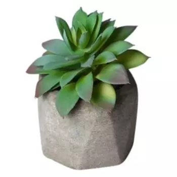 Растение искусственное в горшке Lefard Flowers Суккулент в кашпо, 13х13 см