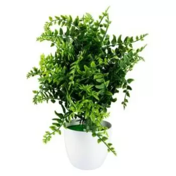 Растение искусственное в горшке Нефролепсис, 9х30 см