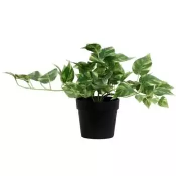 Растение искусственное в горшке Сциндапсус, 18х17 см