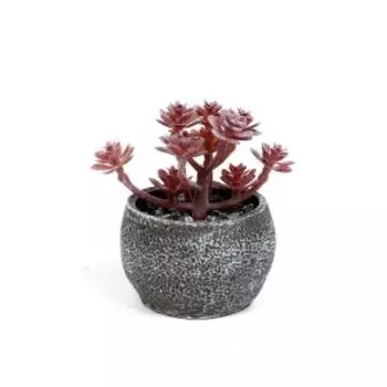 Растение искусственное в горшке Суккулент