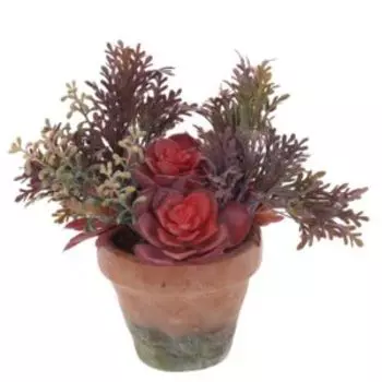 Растение искусственное в горшке Суккуленты, 17х20см