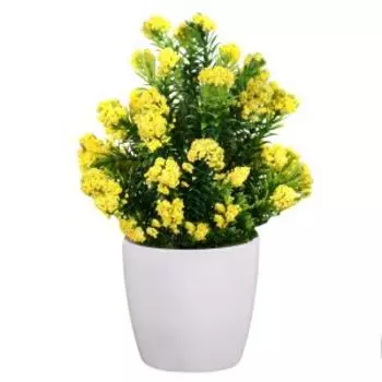 Растение искусственное в горшочке Озотамнус, 6х16 см, в ассортименте