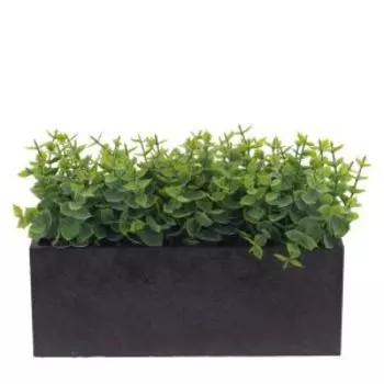 Растение искусственное в кашпо Самшит, 24х9х17 см