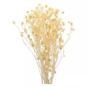 Растение искуственное эрингиум, 5 веток, 50 см, выбеленный