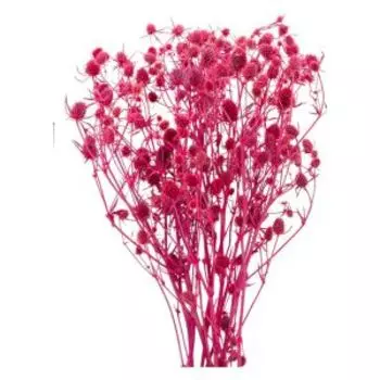 Растение искуственное эрингиум, 5 веток, 50 см, кислотно розовый