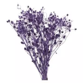 Растение искуственное эрингиум, 5 веток, 50 см, фиолетовый