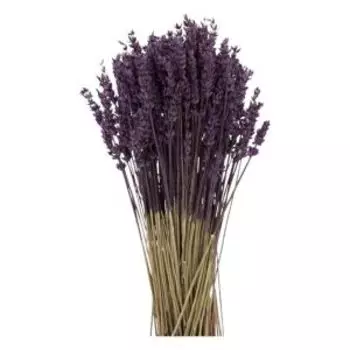 Растение искуственное лаванда стабилизированная банч, 40 см, сиреневый