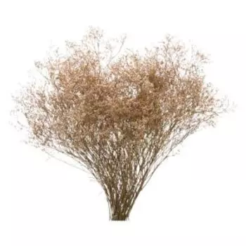 Растение искуственное лимониум, 40 см, натуральный