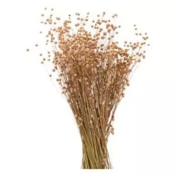 Растение искуственное лён банч, 55-60 см, золото