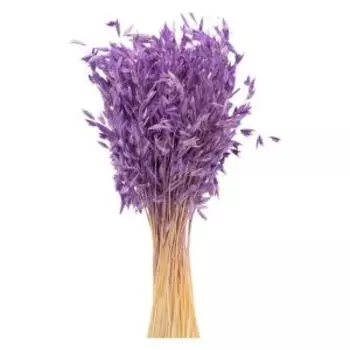 Растение искуственное овес банч, 60-65 см, фиолетовый