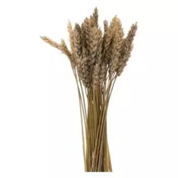 Растение искуственное пшеница банч, 35-40 колосьев, 60-65 см, натуральный