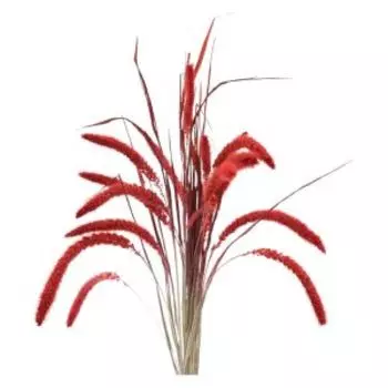 Растение искуственное сетария, 12-15 колосьев, 60-65 см, красный