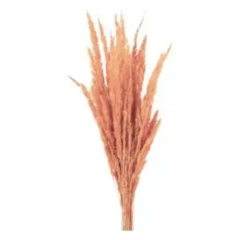 Растение искуственное вейник банч, 60 см, персиковый
