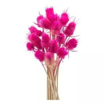 Растение искуственное ворсянка банч, 7 веток, 50 см, фуксия