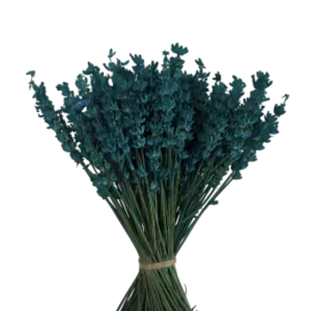 Растение сухоцвет DonnaFlor Лаванда стабилизированная, 40 см, тиффани