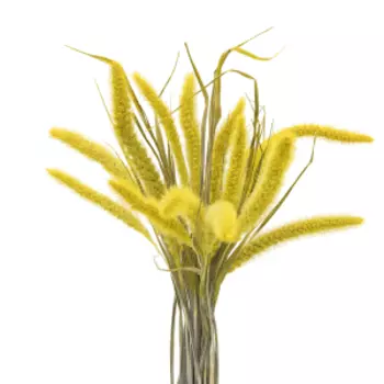 Растение сухоцвет DonnaFlor Сетария, 12-15 колосьев, 60-65 см, желтый