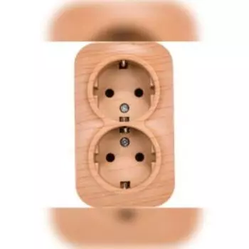 Розетка двойная Ionich, сосна