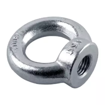 Рым-гайка СВФС DIN 582, М8 мм, 1 шт