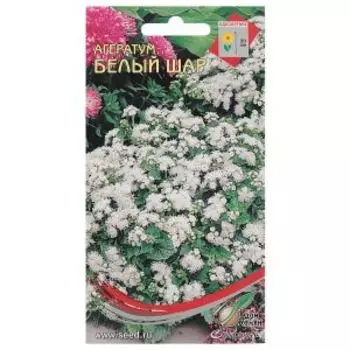 Семена Агератум Белый шар