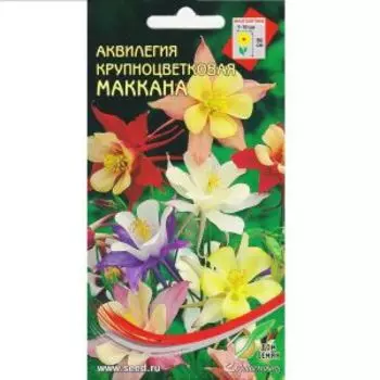 Семена Аквилегия крупноцветковая Маккана