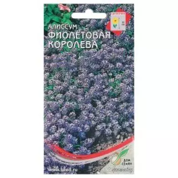 Семена Алиссум Фиолетовая королева