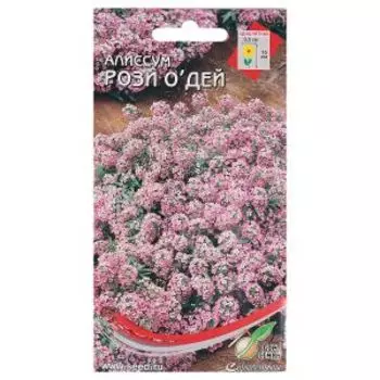 Семена Алиссум Рози О'дей