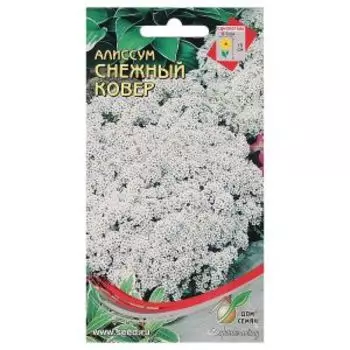 Семена Алиссум Снежный ковер