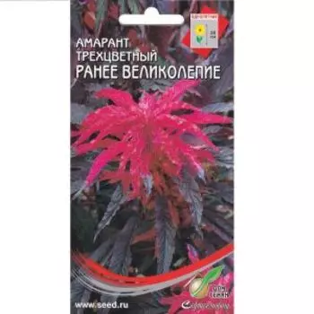 Семена Амарант трёхцветный Раннее Великолепие