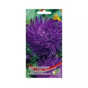 Семена Астра хризантемовидная Картхойзер