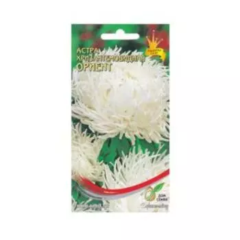 Семена Астра хризантемовидная Ориент