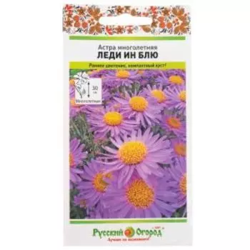 Семена Астра многолетняя Леди Ин Блу, 0.07 г