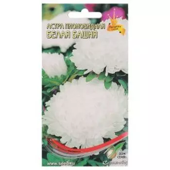 Семена Астра пионовидная Белая башня