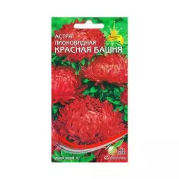 Семена Астра пионовидная Красная Башня