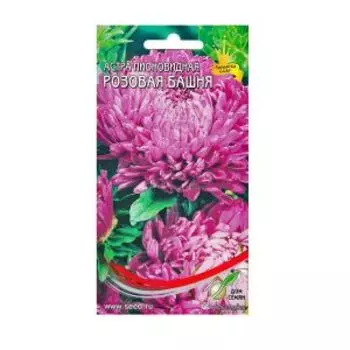 Семена Астра пионовидная Розовая Башня