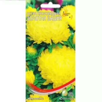 Семена Астра пионовидная Золотая башня